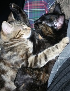 A hard day's carnage really takes it out of you